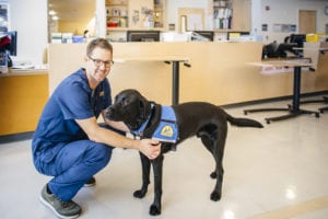 HUggie, a black lab and UC Davis Health facility dog, with a male nurse in the cancer center.